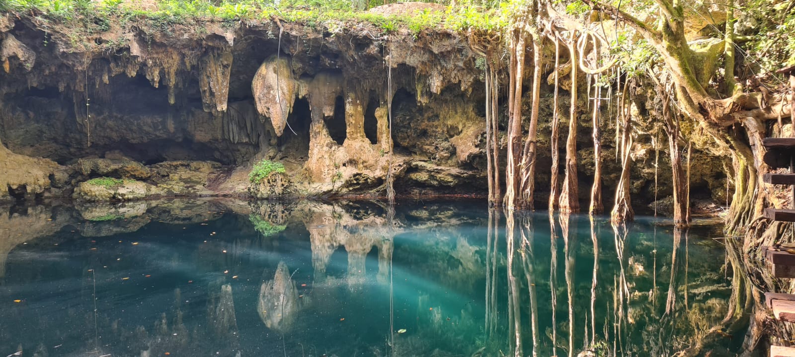 Cenote de aguas turquesa con raíces colgantes y bóveda de roca